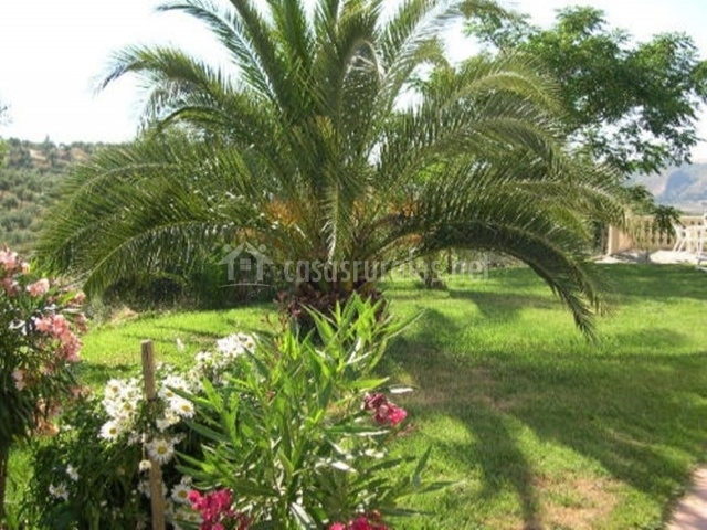 Decoraci Ef Bf Bdn Tropical Jardin Decoraci Ef Bf Bdn Tropical Jardin