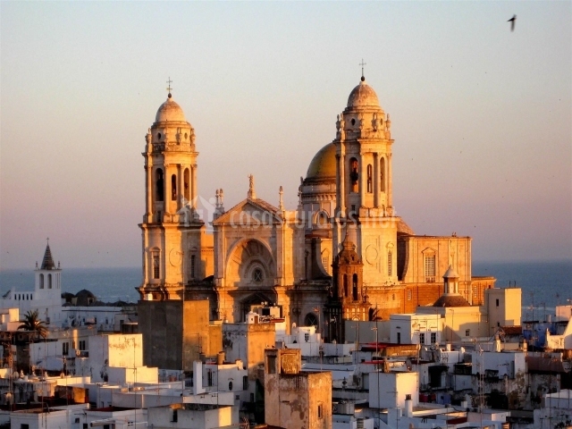 natural Español golondrina cerca de Cádiz natural Español golondrina cerca de Cádiz