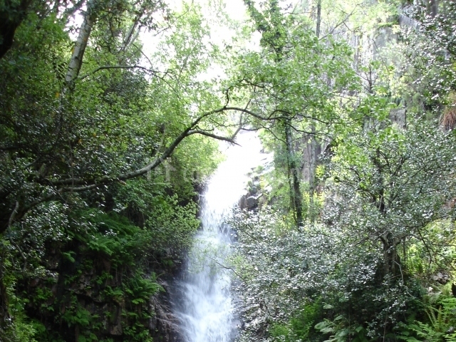 Parque Nacional de Cabañeros